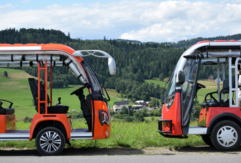 melex we wiŚle (25)