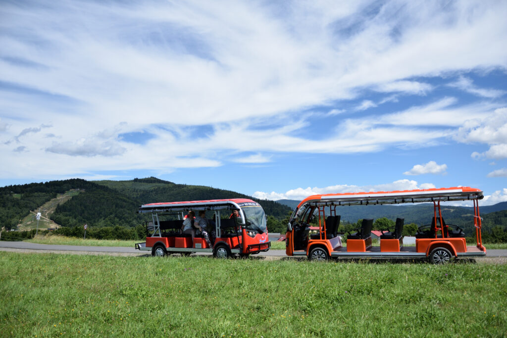 melex we wiŚle (30)